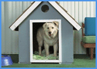 Dog Inside Of Luxury Dog House