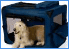 Dog Inside Portable Carrier
