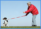 Woman Training Her Dog
